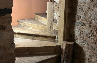 Irene's Mansion - Foto 37