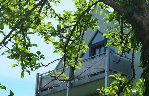 Dachgeschosswohnung Seeblick - Foto 5