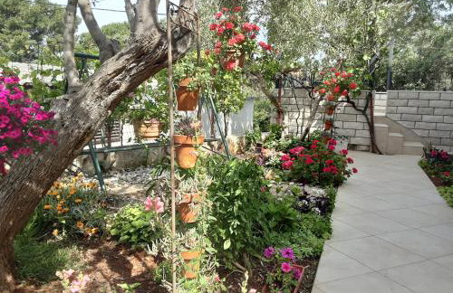 Apartments Miramaris - Foto 7