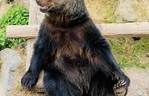 FeWo Mosel - Comfort & Relax - Foto 48