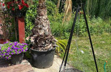 Filipowe Zacisze - Foto 33