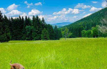 GÓRSKA CISZA - Duży, komfortowy, wyjątkowy Apartament - Foto 68