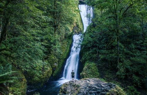 Spring Break Promos - LifeSize Dinos, 4BR, HotTub - Foto 54