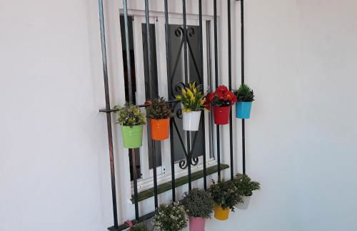 Atico Soleado - Foto 9