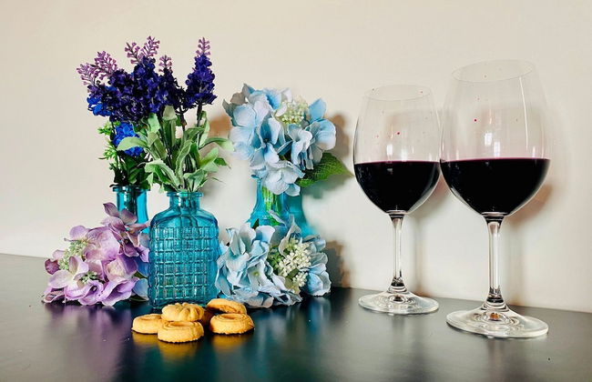 COBERTURA 04 Suites - RUA COBERTA - Foto 68