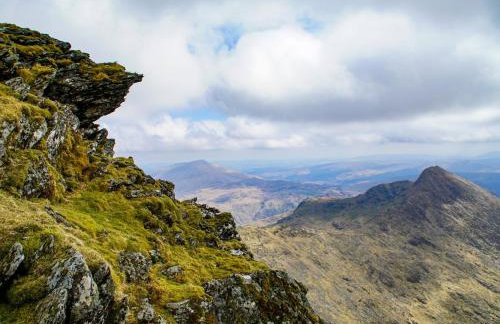 Little Curlew, Ynyslas, Borth - Foto 34