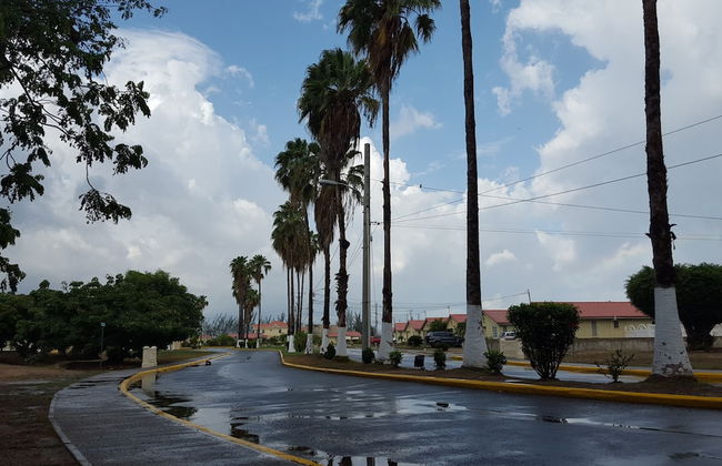 Caribe Estate Guest Apartment I - Photo 37