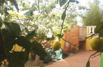 Casa a 85 metros playa 158 m dorm WIFI AA - Foto 35