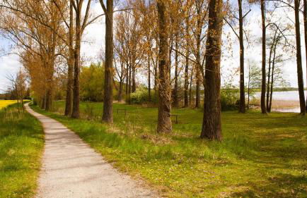 Ferienhaus Friedrichsmilde - Foto 18