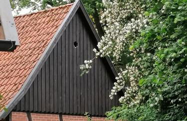 Ferienhaus in Rumke - Foto 12