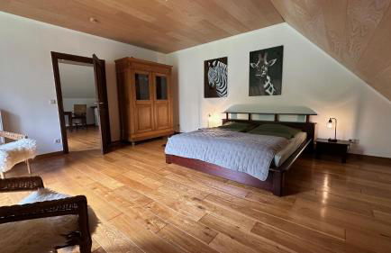 Apartments Mester - Foto 13