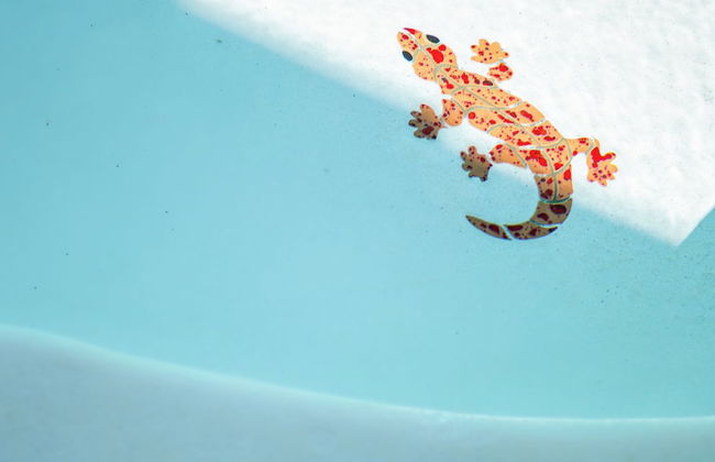 Karsten Maricopa - Foto 28