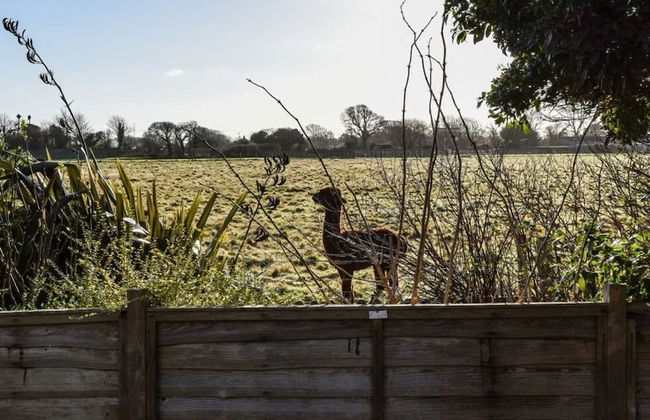3bd Family Beach Retreat in West Wittering - Foto 45