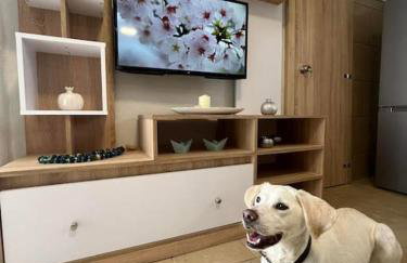 Kareshome-Privacy-view - Photo 35