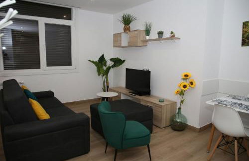 Apartamentos turisticos Chans do Carrasco S L U - Foto 22