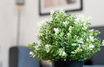 Sevenstay Apartments Fleet Street - Foto 52