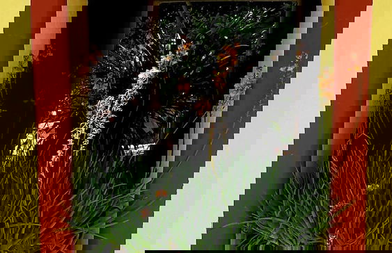 Casa di Campagna Dal Pozzo - Foto 70