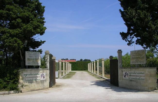 Il Contadino - Foto 24