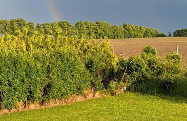 Drie Zeeparels & Spa - Foto 22