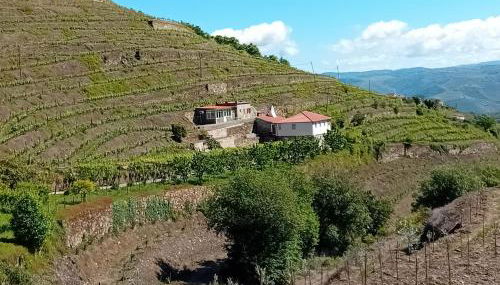 Casa da Quinta do Porto - Photo 3