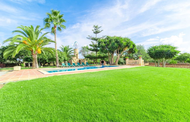 Finca Can Bosco 8 in Manacor - Foto 6