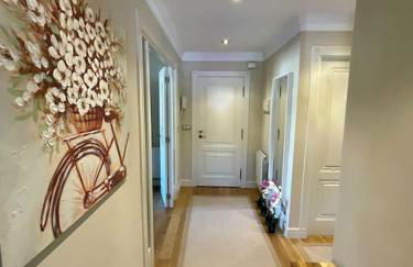 Rayo de sol - Photo 15