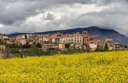 Lo passeig - Foto 49