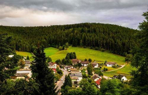 Surrbach Chalet - Photo 16