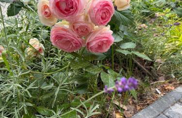 Villa Aleksandrow SPA - Foto 23