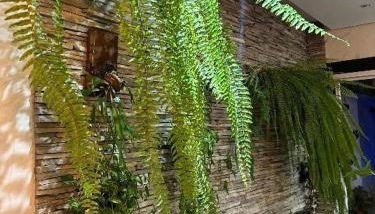 Casa linda em Goianésia! - Foto 4