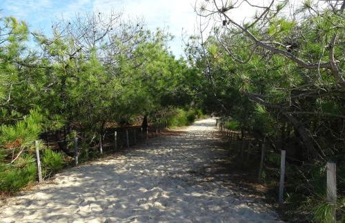 House in Margaux with Saltwater Pool & Vineyards - Foto 51