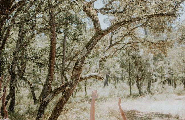 Luz Charming Houses - Photo 40