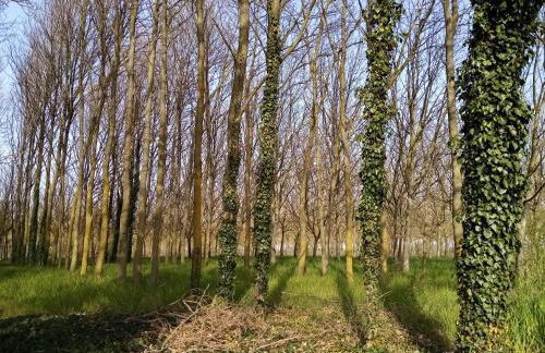 B&B Marana 14 Casa di Campagna - Foto 70