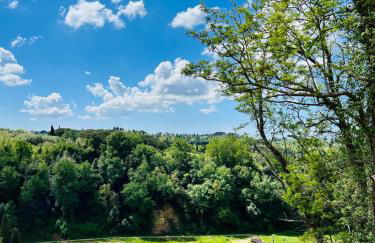 Ciliegia di Lari - Attico - Foto 45