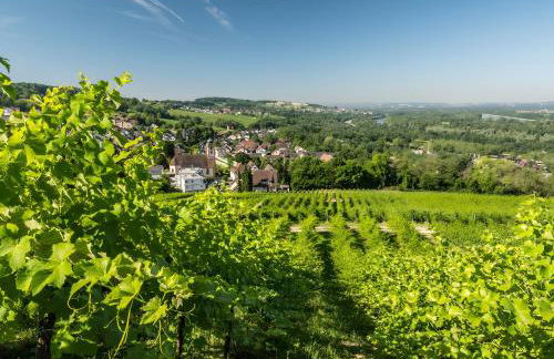 Ferienwohnung Wagner mit 35 qm Fr - Foto 10
