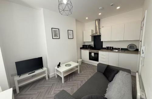 9 Mill Lane, Cardiff - PRIME CITY CENTRE - Foto 62