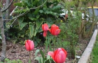 L'idylle - maison a la mer - Foto 15