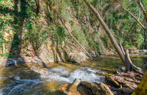 Apartaments Rural Montseny - Foto 92