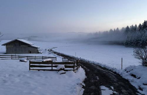 Langegger Alm - Sennerstube - Foto 23