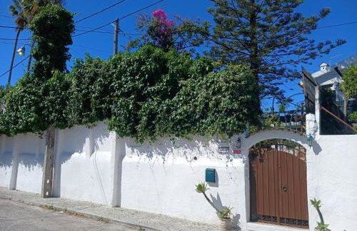 Villa Casa das Palmeiras - Foto 35