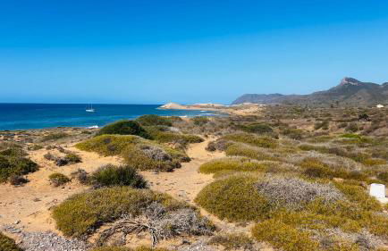 Casa Mostaza Cristal - Foto 36