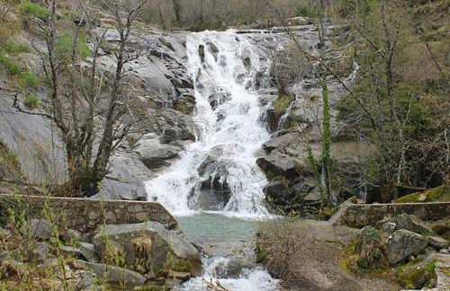 La Lancha del Jerte - Foto 35