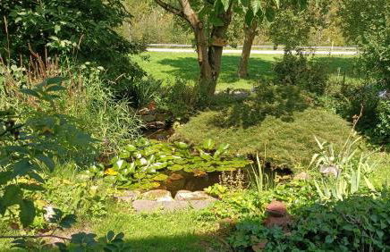 Casa Verde Sinnerthal - Foto 28