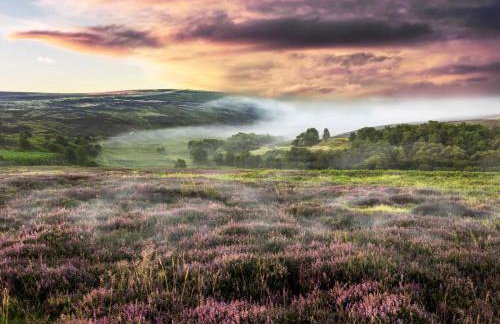 4 Bed in Whitby oc-g0042 - Foto 28