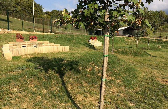 Agriturismo Tenuta del Daino - Photo 33