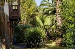 La Casita de la Vega - Foto 67