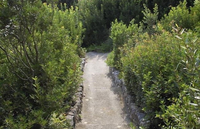 Verdidea - Villa Isola - Foto 78