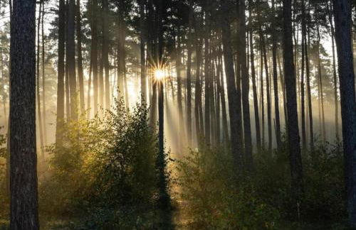 Wohnung im Teutoburger Wald Externsteine - Foto 46