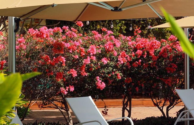 San Trópico Boutique Hotel & Peaceful Escape - Foto 65