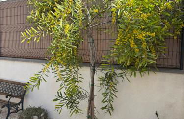 Appartement cosy avec cour privée & terrasse Calme idéal couples familles - Foto 8